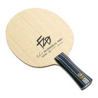 فن ژندونگ ZLC